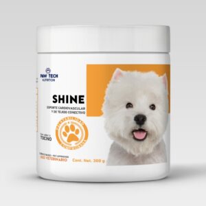 SHINE