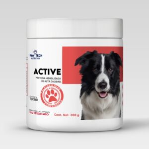 ACTIVE